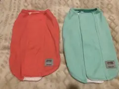 Item thumbnail for item 192ff121-31c8-4628-a4bc-2ca47d6f7a2b