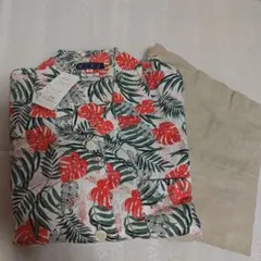 Item thumbnail for item 871f081b-22fd-45d1-a419-938b0e0a4cfc