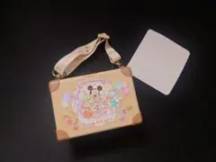 東京ディズニーシー ダッフィー&フレンズ スーベニアミニスナックケース