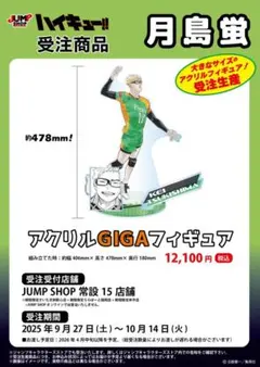 ハイキュー!! アクリルGIGAフィギュア ギガフィギュア 木兎光太郎