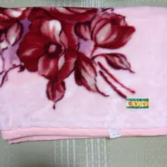 【中古品】アクリル　毛布 　養生　介護　ペット等　用途いろいろ