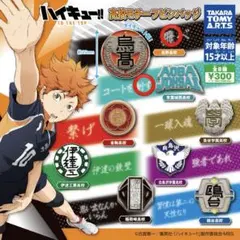 ハイキュー!! TO THE TOP高校モチーフピンバッジ 烏野、青葉城西2個