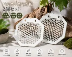 ビカクシダ 定着板 2枚セット ハニカム 通気性 着生板 板付けのサムネイル