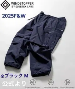 +phenix GORE-TEX パンツFREAK'S STORE 別注のサムネイル