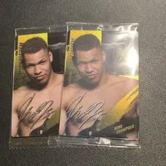 最新弾 RIZIN ウエハース 25 エドポロキング 2枚