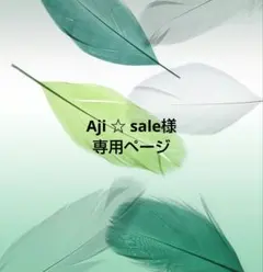 Aji ☆ sale様 リクエスト 3点 まとめ商品