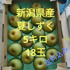 新潟県産 夏しずく 5キロ 18玉 梨 なし 果物のサムネイル