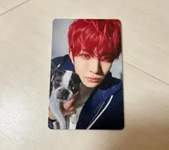 ENHYPEN 2025 アンケート 特典 FCトレカ ヒスン