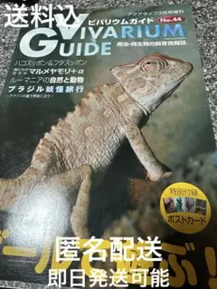 Item thumbnail for item 4ae3508a-be34-453b-9ef3-67617149d880