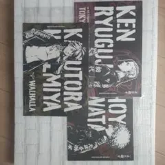 3枚セット 東京リベンジャーズ クリアファイルa4