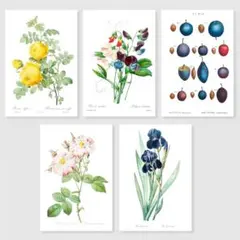 Item thumbnail for item 295602f6-c47c-4b2e-8b03-714fc6c59190