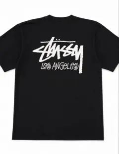 ラスト1点！ホノルル限定 STUSSY ホノルル Tシャツ ブラック Lサイズ