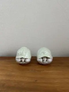 バンダイ　かめ　第1弾　アルビノ2個セット　新品　未開封