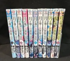 2026年最新】月が導く異世界道中 全巻の人気アイテム - メルカリ