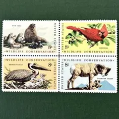 Item thumbnail for item b9eac652-35a8-4420-9be4-4f36260c8367