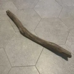 Item thumbnail for item 7d4b2ea4-0b1b-4b39-a58b-949a24482872