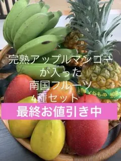 沖縄南国フルーツ旬4種セット アップルマンゴー入り❤️2セット限定❗️のサムネイル