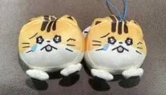 Item thumbnail for item 095ff766-24a0-4c01-9e6d-de4c62378f1c