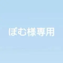 ぽむ様専用