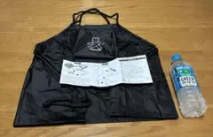 Item thumbnail for item e750d430-d593-4206-a209-b4fdf19fda1c