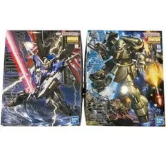 ガンプラMG 2点セット リック・ドム（新）／ガトー専用ゲルググ （旧