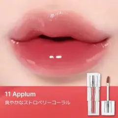 TIRTIR ウォーターリズムグロウティント 11 APPLUM