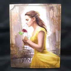 Blu-ray Disc DVD 2枚組 美女と野獣 MovieNEX '17米