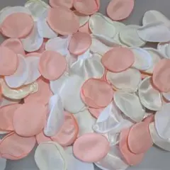 Item thumbnail for item d20237fc-01cb-46d9-bd48-e281092190cf