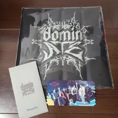 【新品】スキズ domin ATE アプグレ クッション ホログラムチケット付