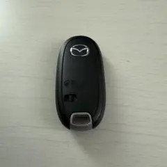 Item thumbnail for item cd12437b-1a01-4248-9fb3-1fac0b5d29bb