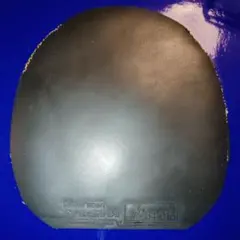 卓球ラバー ファスタークG1 特厚