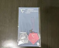 SEVENTEEN Carat ファンクラブ 更新 特典 チャーム