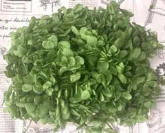 emi様 リクエスト 3点 まとめ商品