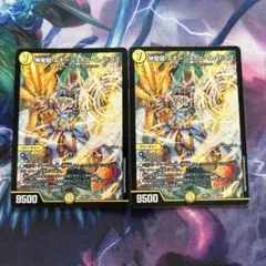 神聖龍 エモーショナル・ハードコア エモーショナルハードコア 2枚セット
