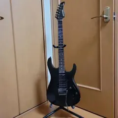 Bill Lawrence BY1R-60G 五十嵐 美貴シグニチャーモデル - メルカリ