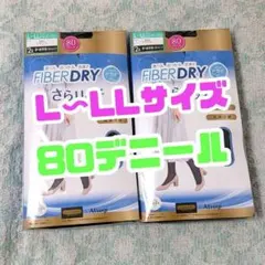 CLOSSHI×Atsugi FIBER DRY 80デニール タイツ 2足組