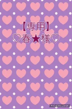 【専用】春★様