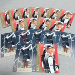 Item thumbnail for item 2642d635-20ee-40f4-8c1d-e4021cc07f7e