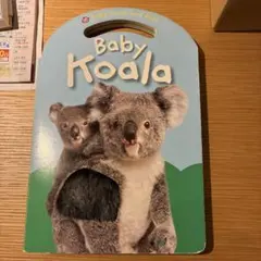 Baby Koala 英語絵本
