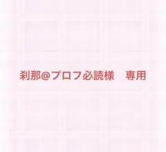 刹那@プロフ必読様　専用