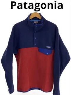 パタゴニアPatagonia フリース