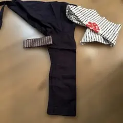 Item thumbnail for item c2d9cbaa-85d6-487d-9ee1-6b3a13fad55a