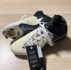 新品タグ付　24.5cm NIKE ファントムルナ2のサムネイル