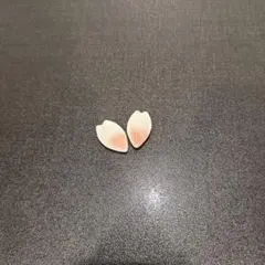 Item thumbnail for item 8ba1df8e-a467-4bd6-a6bd-9c45a7777c5e