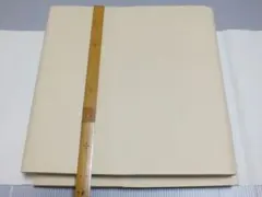 Item thumbnail for item 46c1866a-a276-48b6-b7ed-7611b9acc98c