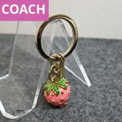 2026年最新】coach いちご キーホルダーの人気アイテム - メルカリ