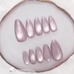 344♡ネイルチップ ちゅるん マグネット　ワンカラー　微粒子マグ　シンプル