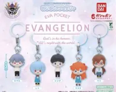 EVA POCKET めじるしアクセサリー エヴァンゲリオン 全５種 フルコンプ
