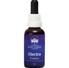 2026年最新】オーストラリアンブッシュの人気アイテム - メルカリ