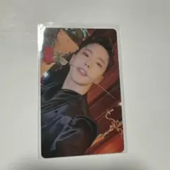 SEVENTEEN セブチ シーグリ ホシ トレカ